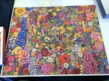 Flower Cycle, Rosalind Wise